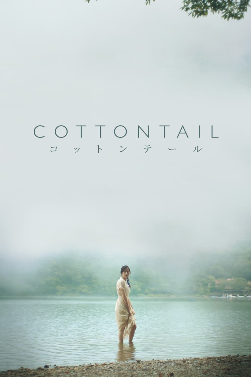 Постер Cottontail